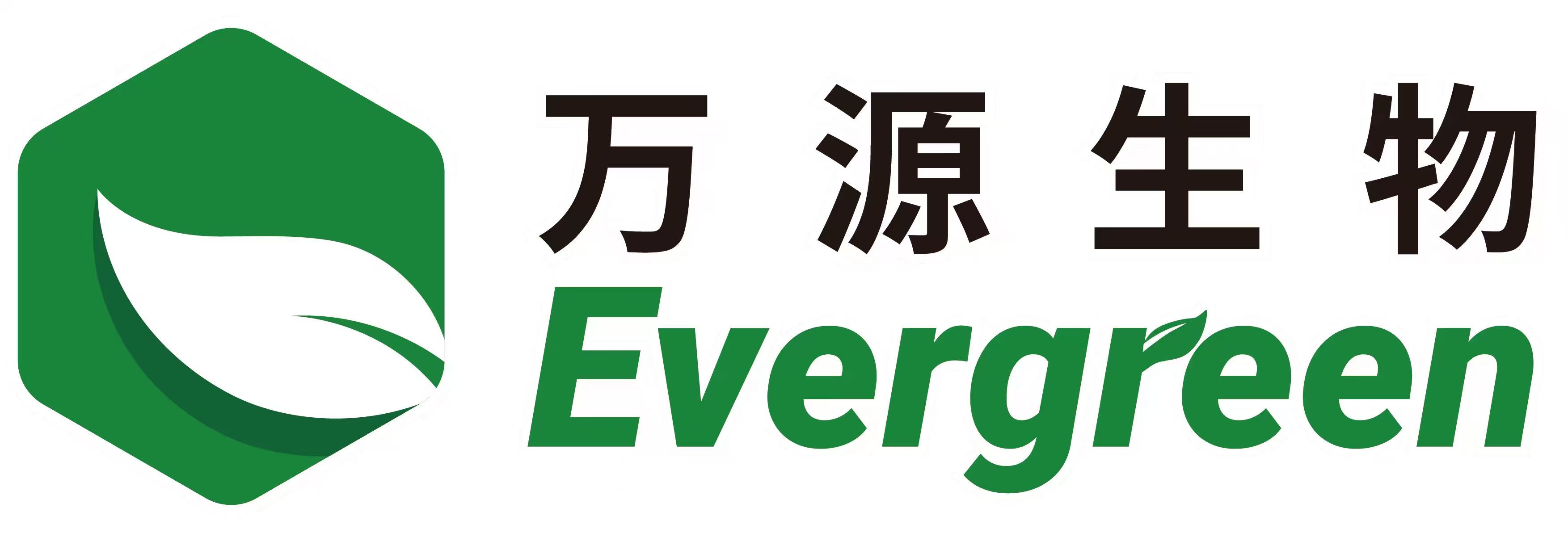 logo exhibition